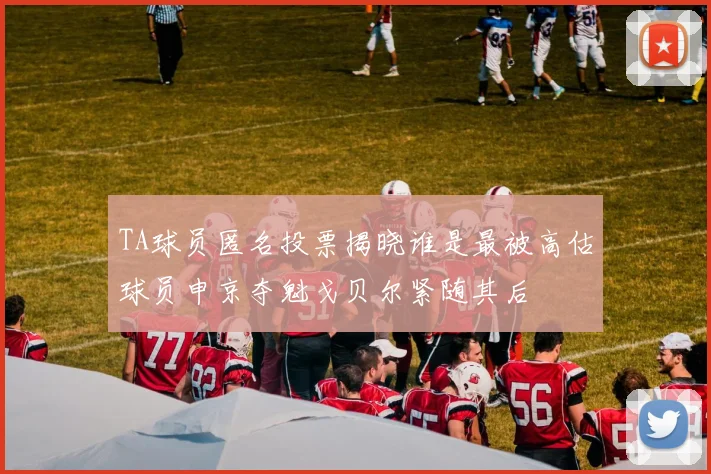 TA球员匿名投票揭晓谁是最被高估球员申京夺魁戈贝尔紧随其后