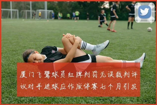 厦门飞鹭球员红牌判罚无误裁判评议对手进球应作废停赛七个月引发热议