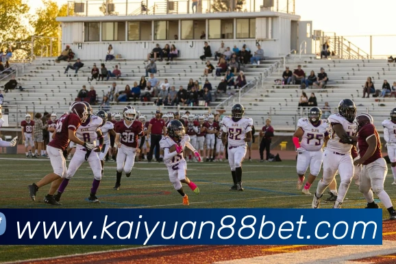 数据防护可视化